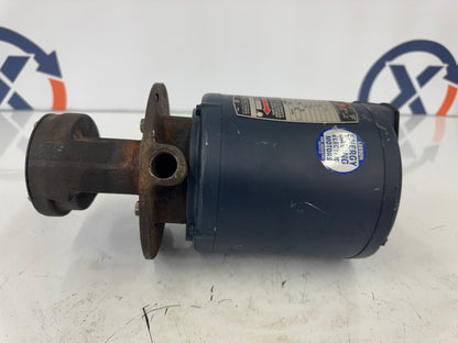 Graymills Corp. Centrifugal Pump C4T34NC2F 1/4 HP 3-Phase 60/50 Hz